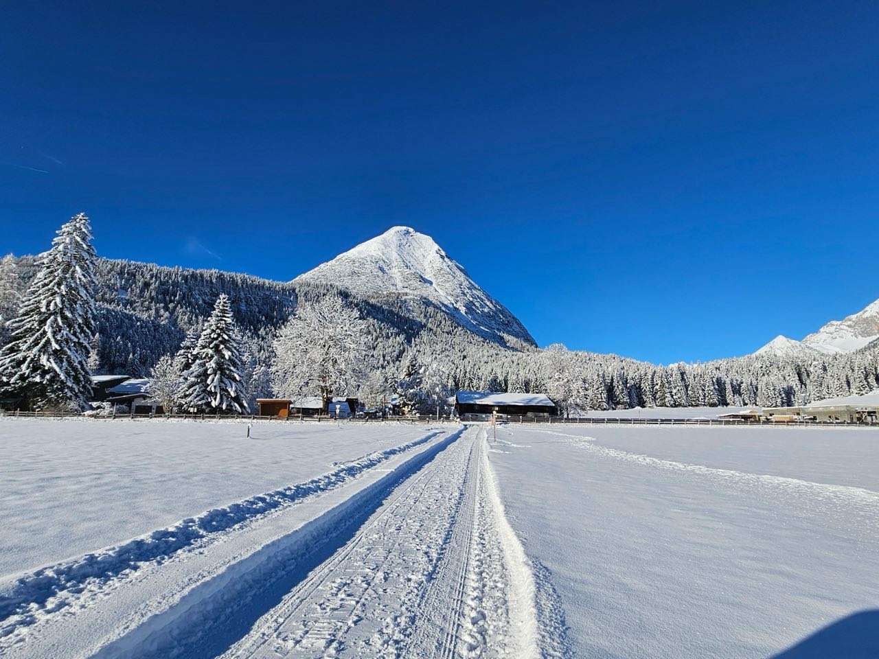Gespurte Loipe in Leutasch mit Blick auf die verschneite Hohe Munde
